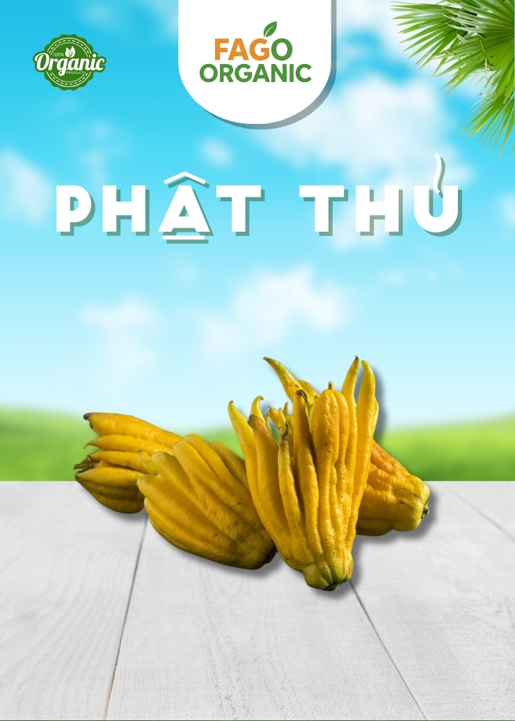 Phật Thủ (Loại 1 từ 1kg-1,3kg)