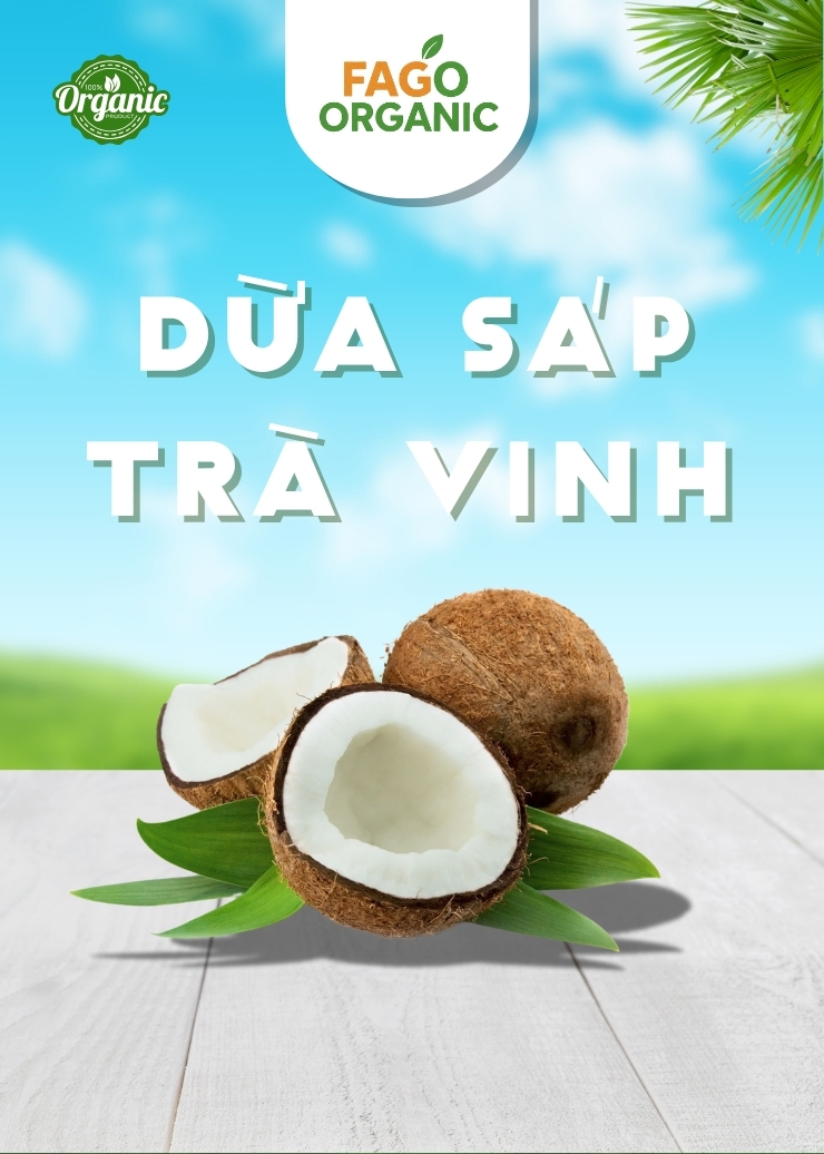 Dừa sáp Trà Vinh (Loại 1 ~1kg)