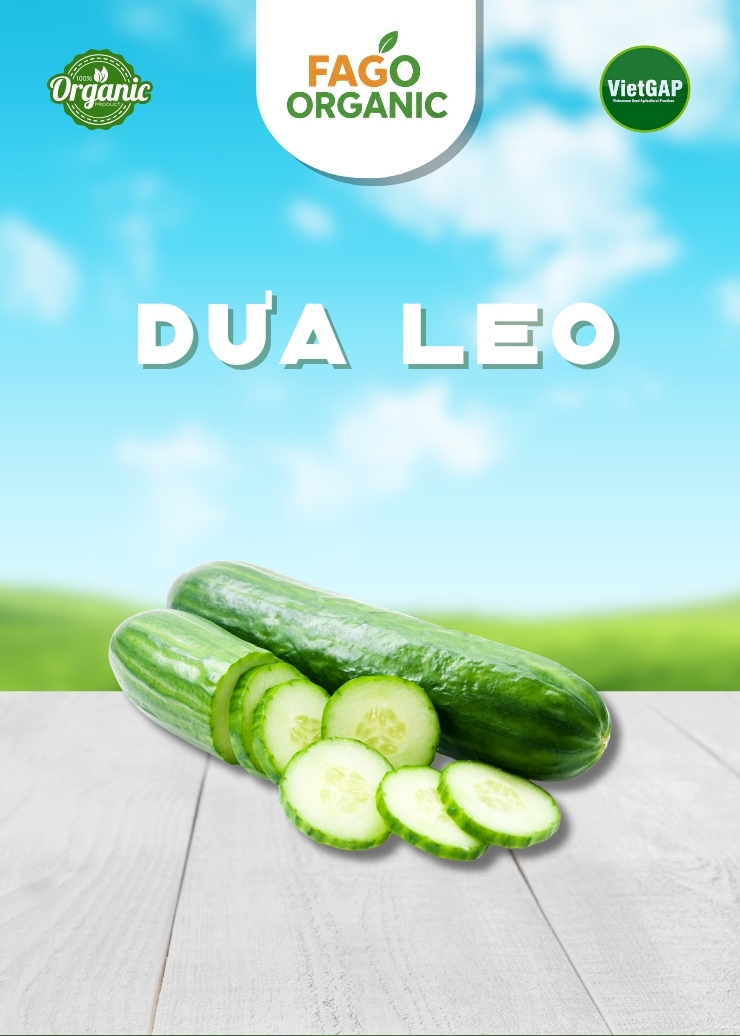 Dưa leo (450-550g/gói)