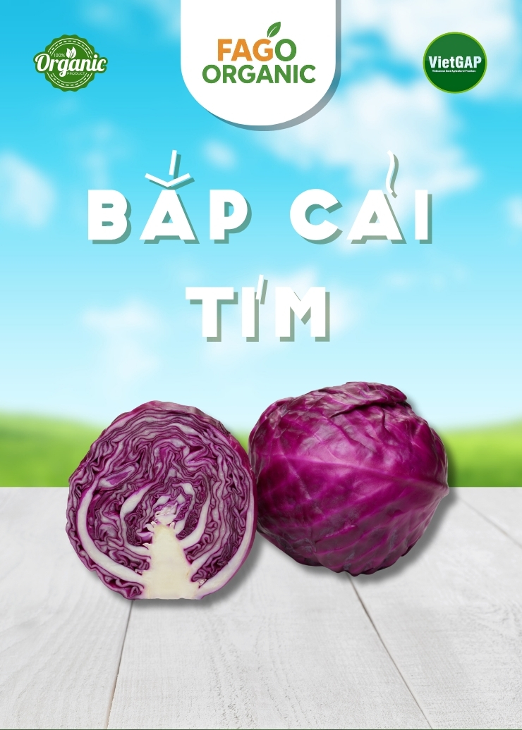 Bắp cải tím (900g-1kg/bắp)