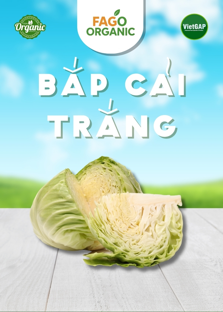 Bắp cải trắng (900g-1kg/bắp)