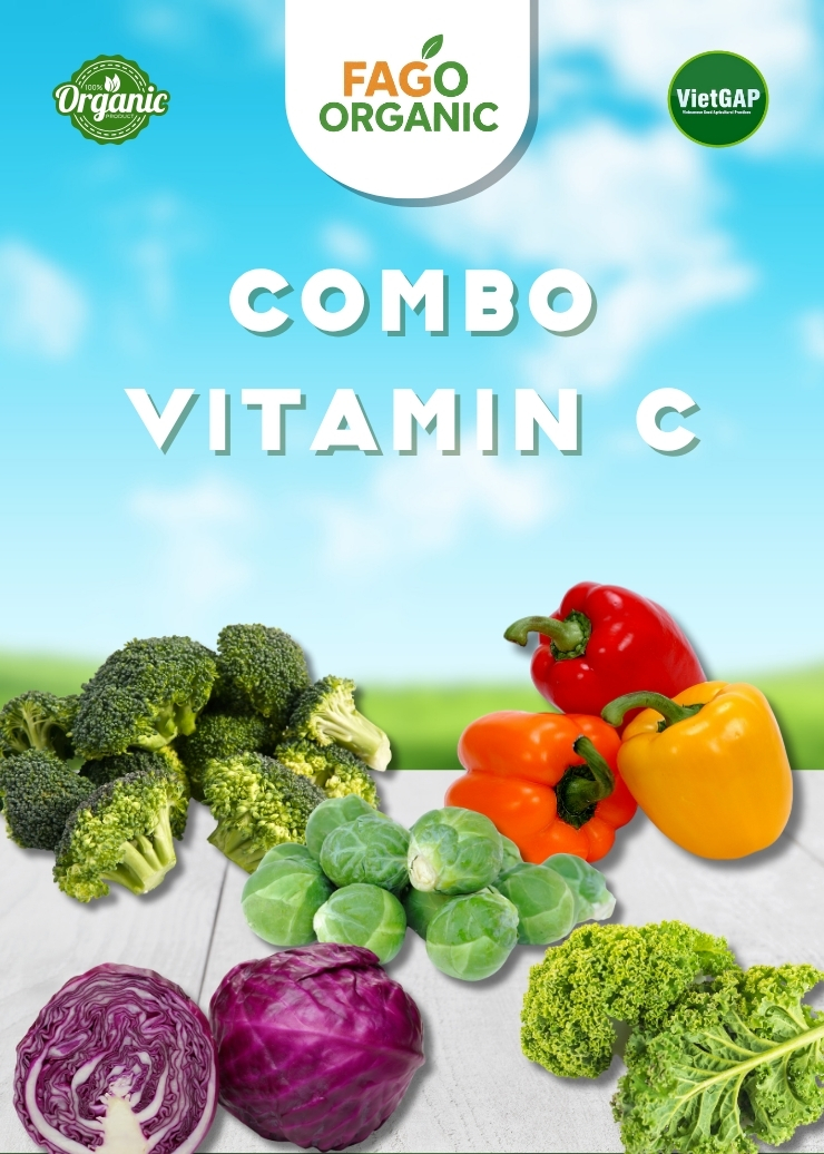 Combo Vitamin C (Súp lơ xanh, Ớt Chuông, Cải Brussels, Bắp Cải tím, Cải Xoăn)