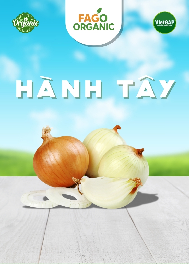 Hành tây (500g/túi)