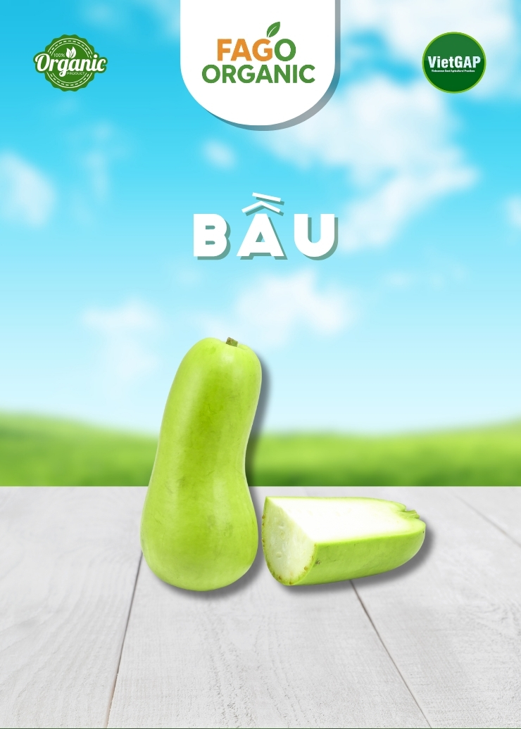 Bầu (450-550g/trái)