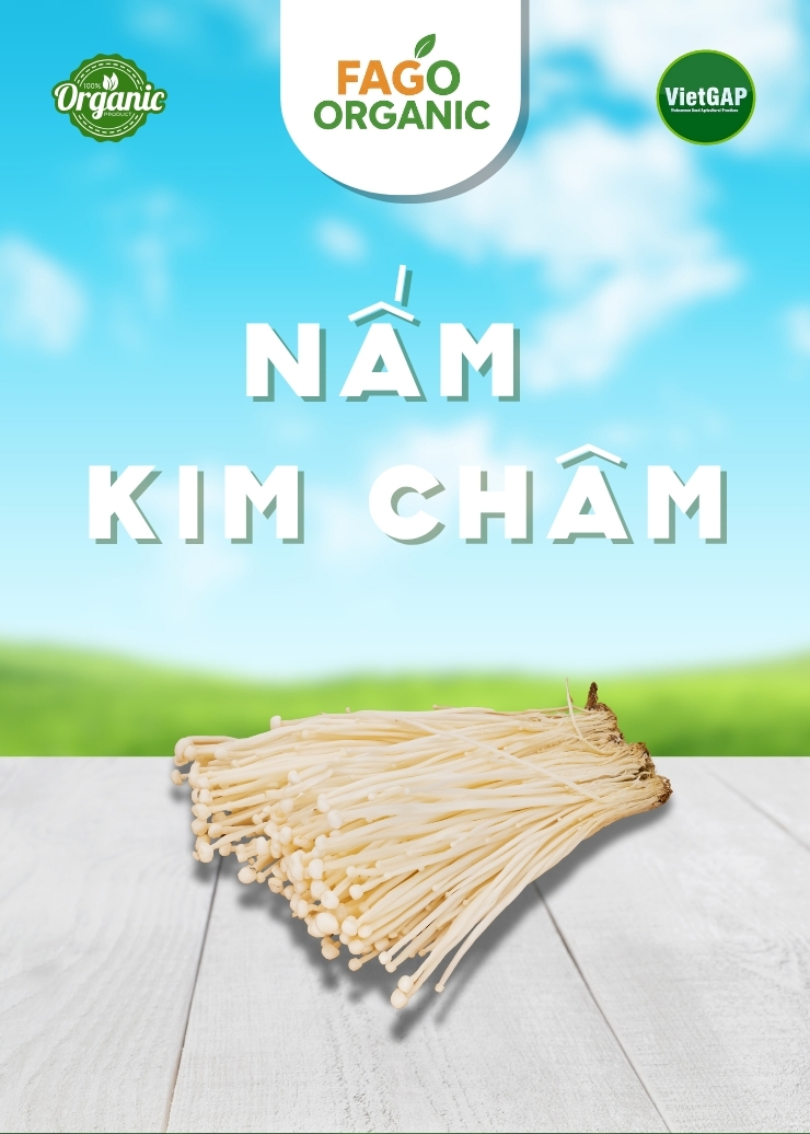 Nấm Kim Châm tươi (150g/Hộp)