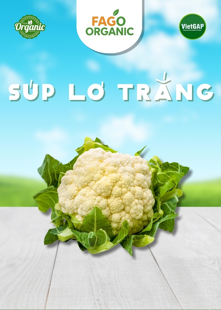 Súp lơ trắng (500-600g/hoa)