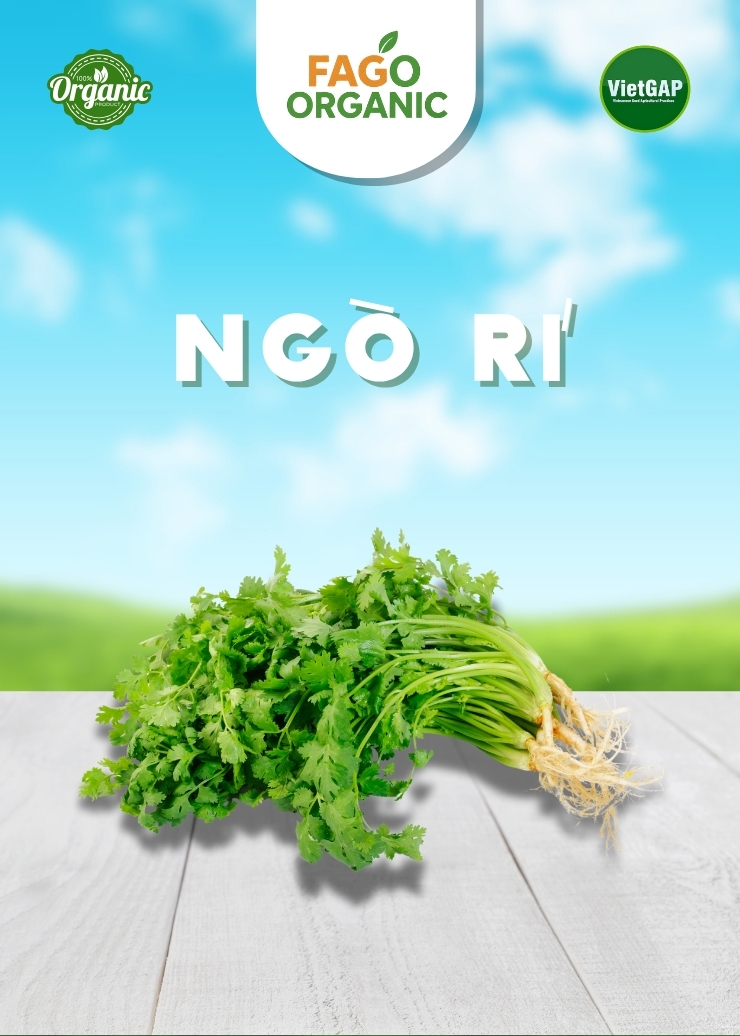 Ngò Rí (200g/bó)