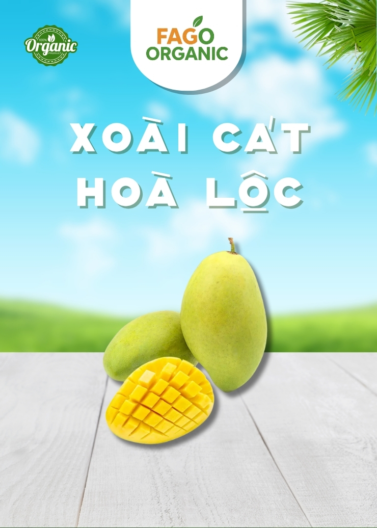 Xoài Cát Hoà Lộc (500g-1kg)