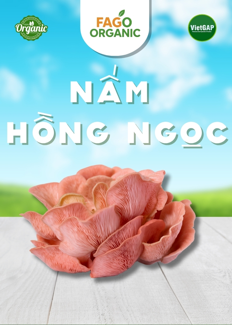 Nấm Hồng Ngọc tươi (100g/Hộp)