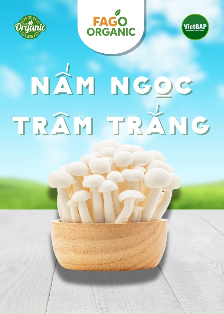 Nấm Ngọc Trắng tươi (250g/Hộp)