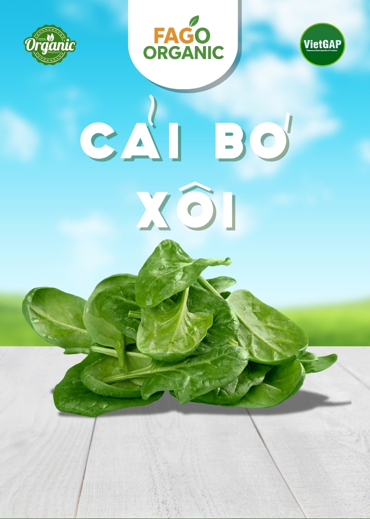 Cải bó xôi (250g/bó)