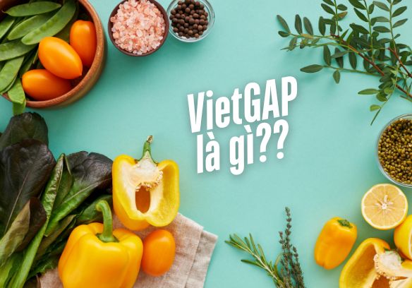 Tìm Hiểu VietGAP và Các Chuẩn Thực Phẩm Phổ Biến