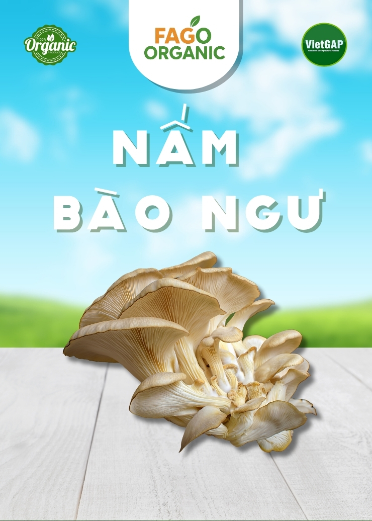 Nấm Bào Ngư tươi (200g/Hộp)