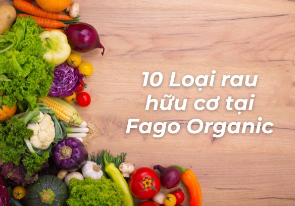 10 loại rau hữu cơ được trồng theo tiêu chuẩn VietGAP ở Fago Organic