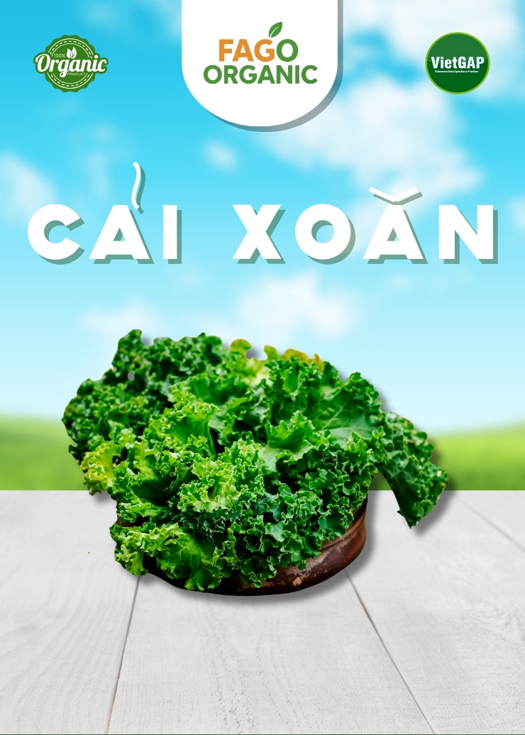 Cải Xoăn (Gói 500g)