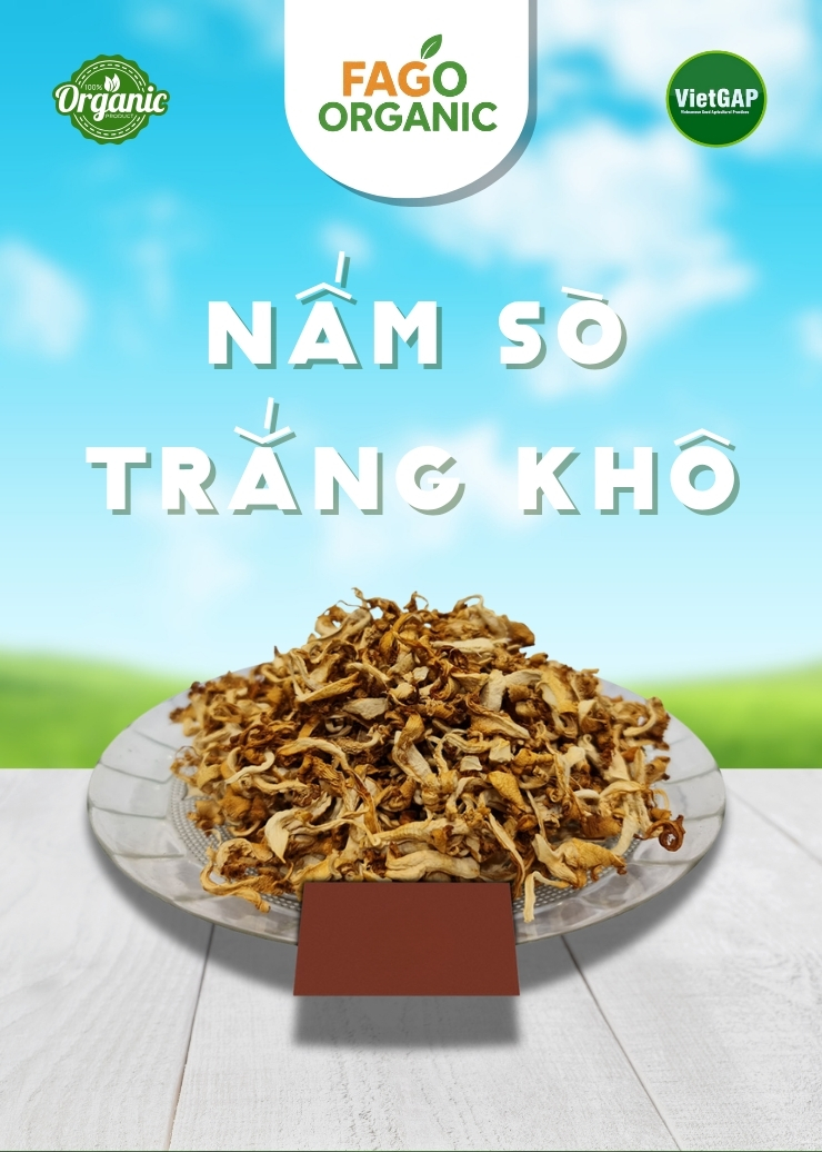 Nấm Sò trắng Khô (300gr/Gói)