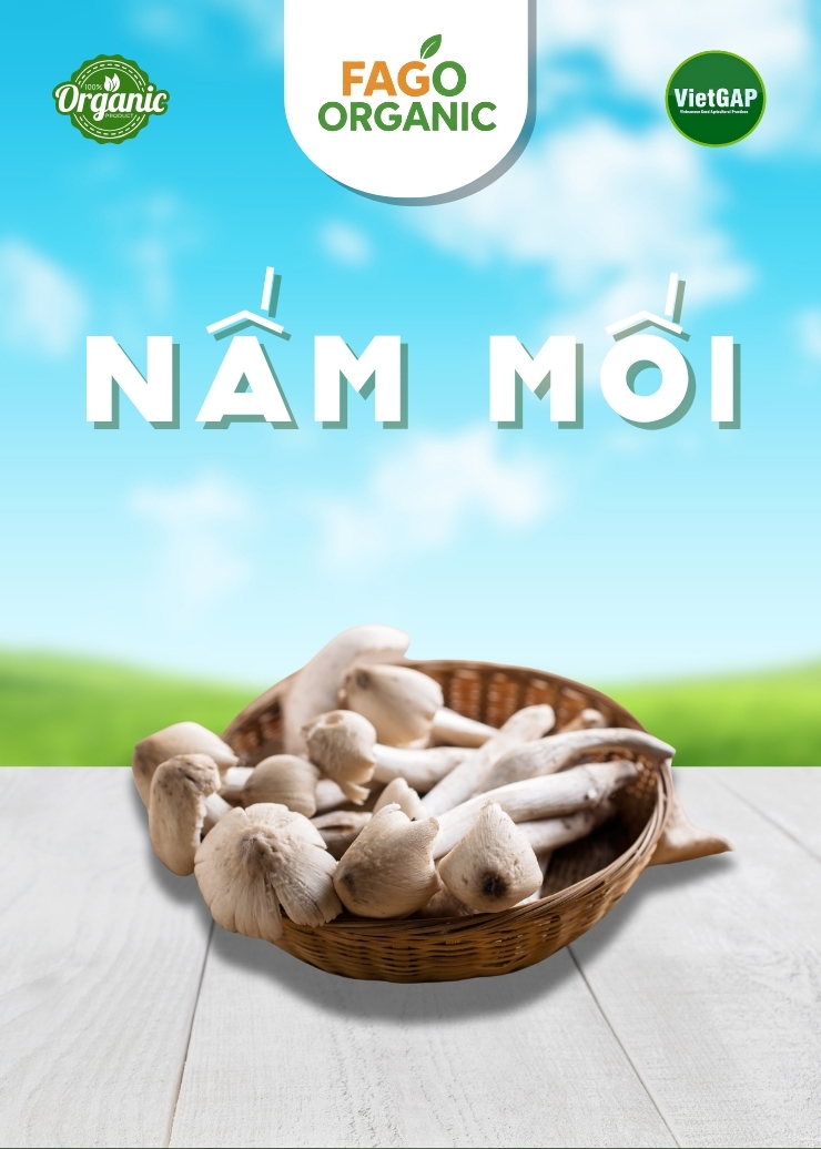 Nấm Mối tươi (250g/Hộp)