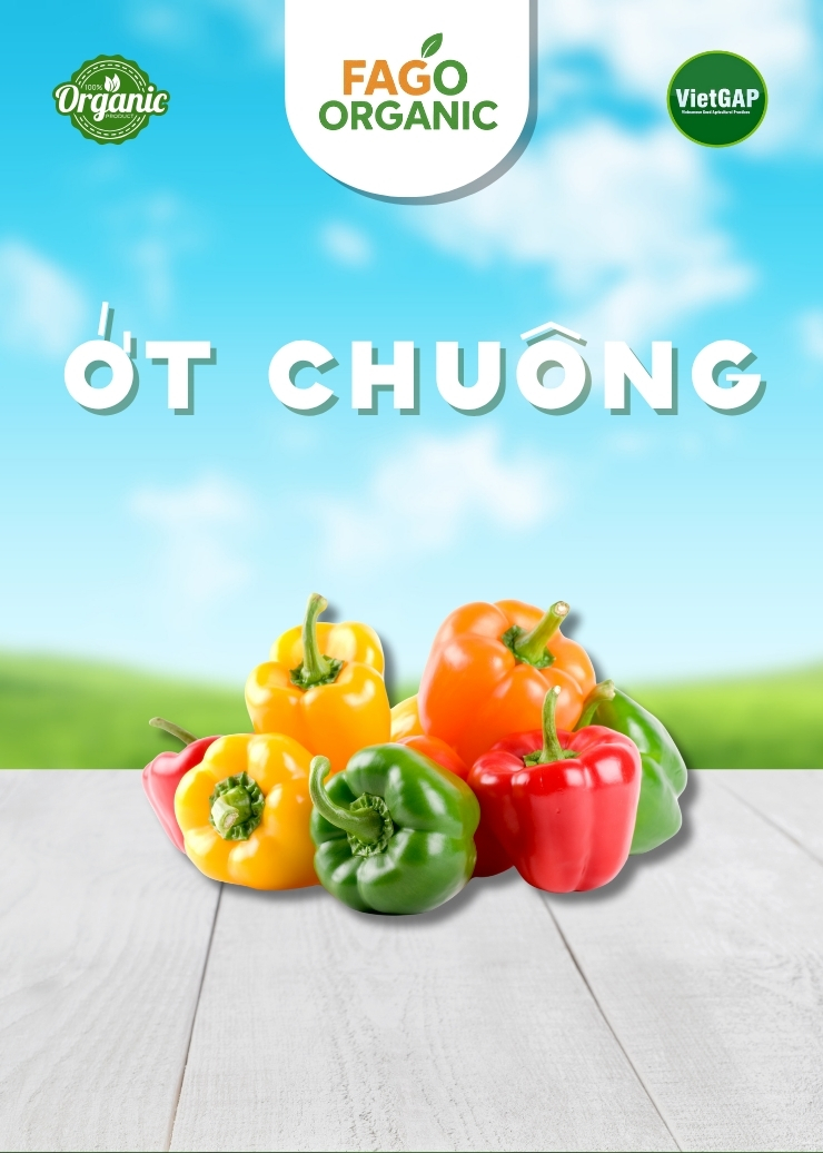 Ớt Chuông (450-550g/gói)