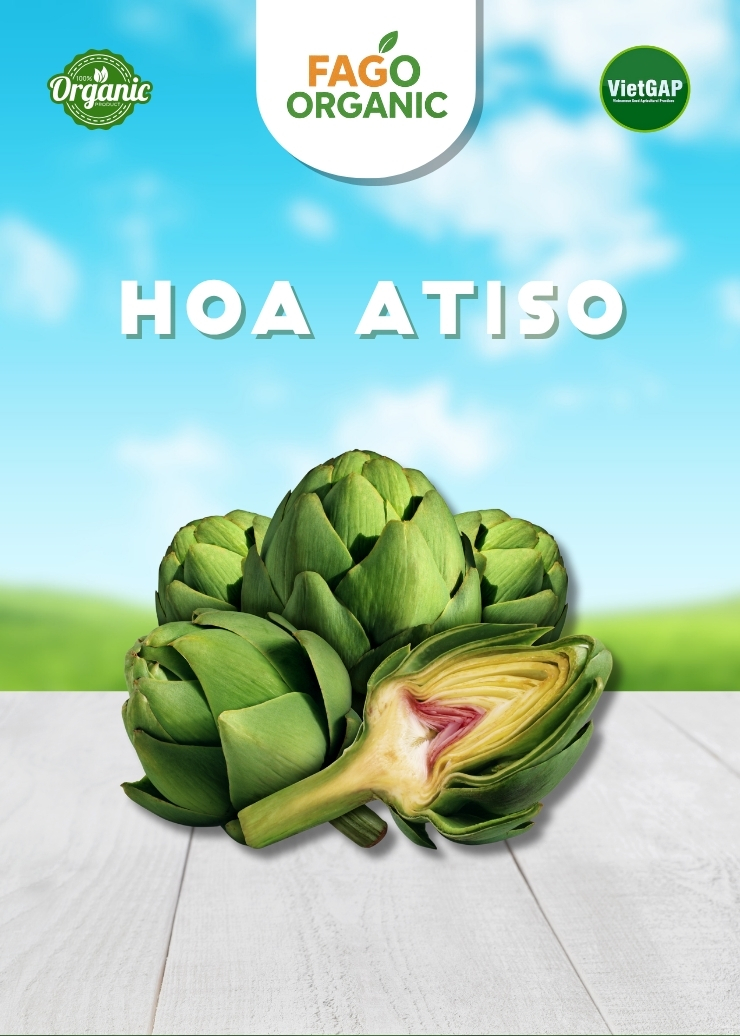 Hoa Atiso tươi (400-500g/bông)