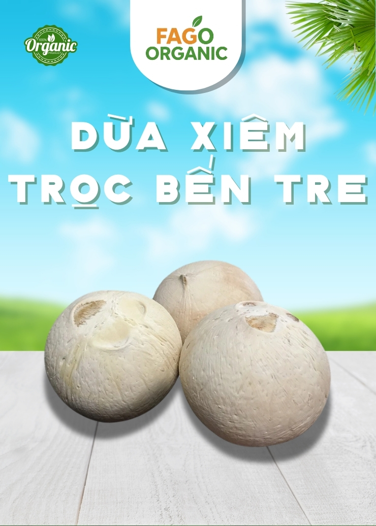 Dừa Xiêm Trọc Bến Tre (400-500g/trái)